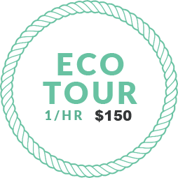 1 Hour Eco Tour $150